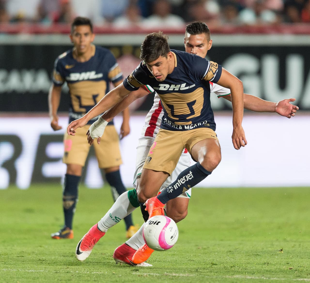 El torneo de los felinos ha sido decepcionante en todos los sentidos y su ubicación en la tabla general es prueba de ello.