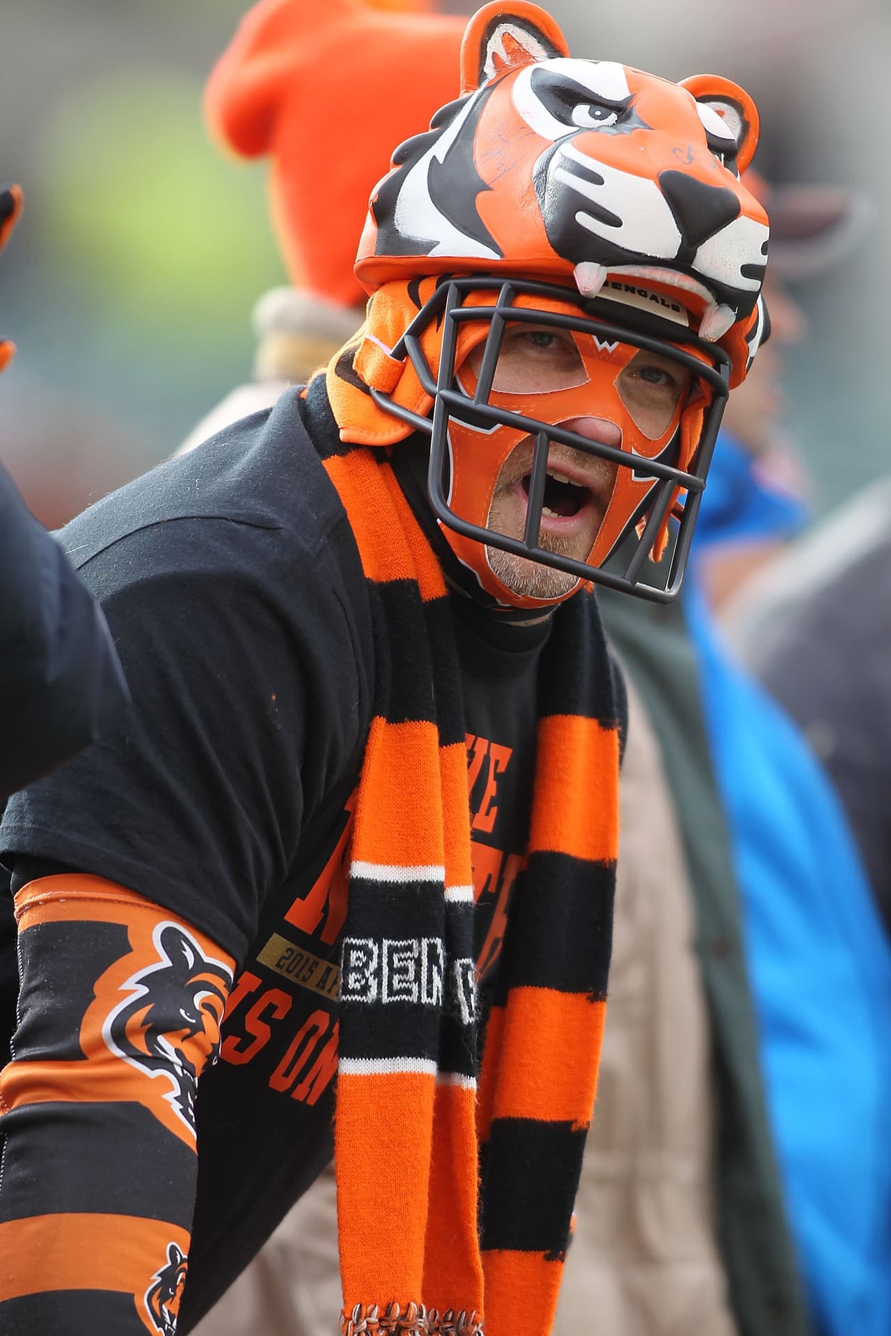 Adiós a la temporada regular de la NFL, y los fans demostraron toda su pasión por este deporte.