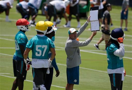 Las mejores tomas de las actividades organizadas de los Miami Dolphins rumbo a la temporada 2015 (AP-NFL).