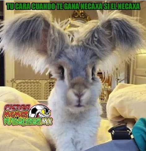 Memes fecha 6 del Clausura 2018