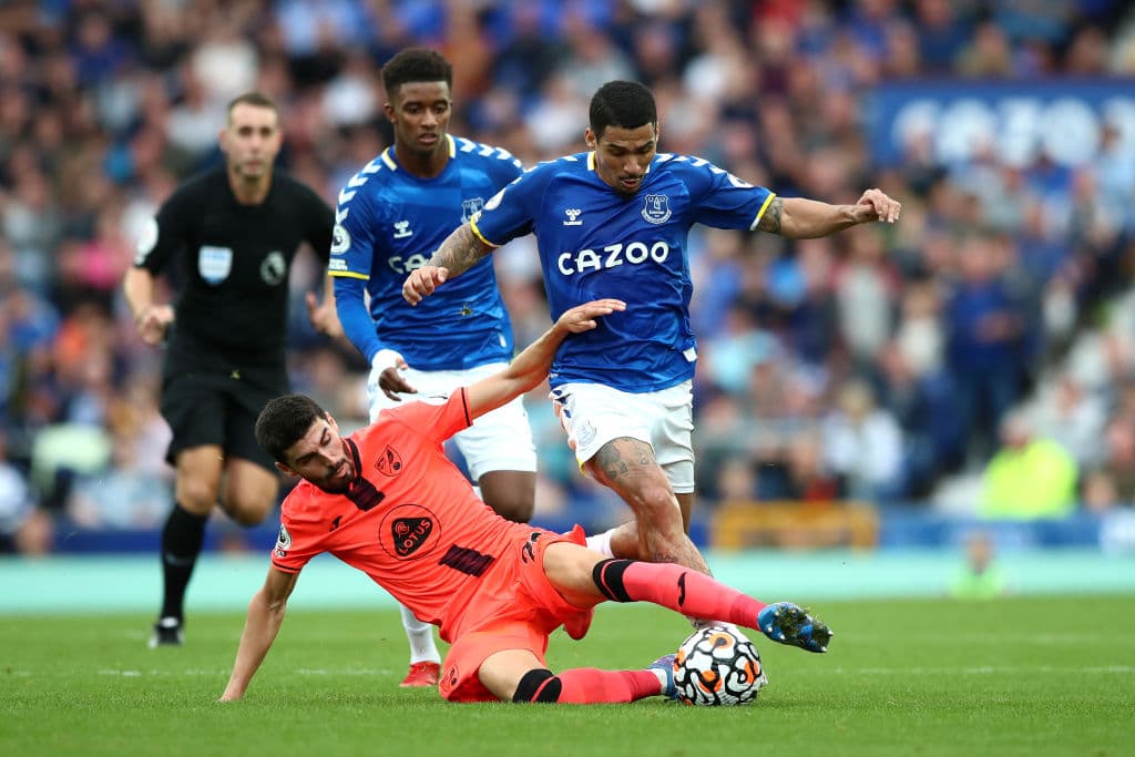 Everton no sufrió mucho en casa y vencen 2-0 al Norwich City.