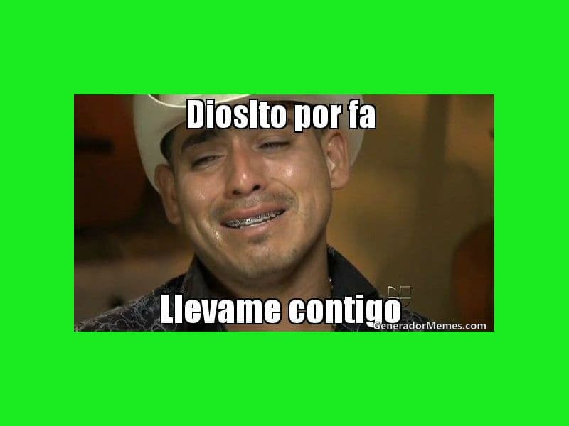 Memes Chicharito