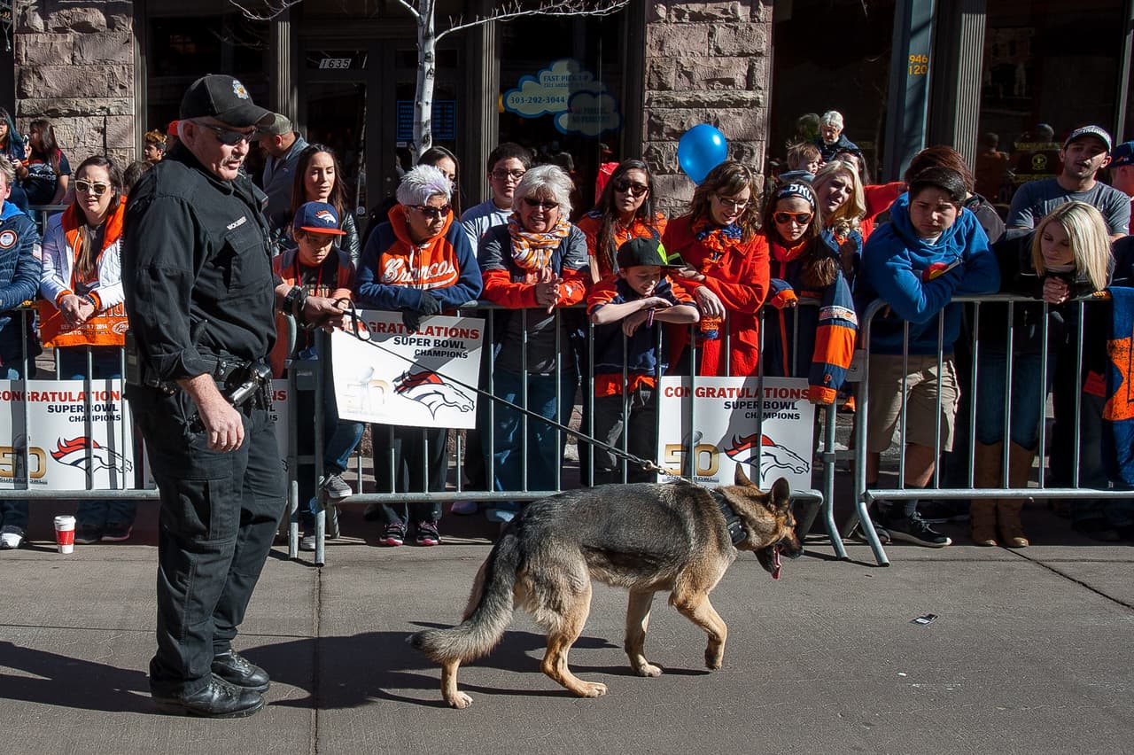 La ciudad de Denver festejó a sus Broncos por el triunfo logrado en el Super Bowl 50. Miles de fans se dieron cita en las calles para ver a sus héroes desfilar por las principales calles de la ciudad.