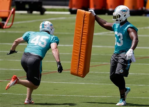 Las mejores tomas de las actividades organizadas de los Miami Dolphins rumbo a la temporada 2015 (AP-NFL).