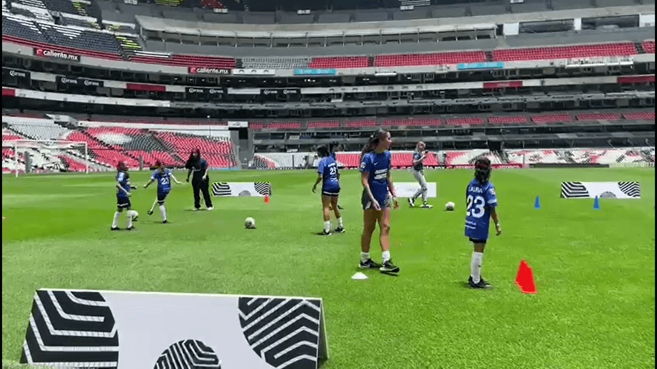 Liga MX Femenil y Nike dieron a conocer el balón para la liga femenina en México.