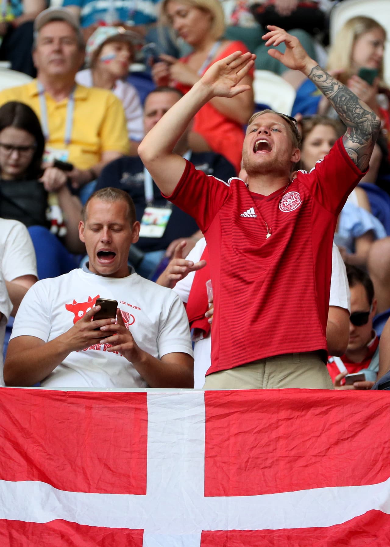 Los fanáticos pusieron todo su colorido y buena energía para el partido entre Dinamarca y Australia por el grupo C, en su segunda aparición en el Mundial de Rusia 2018.