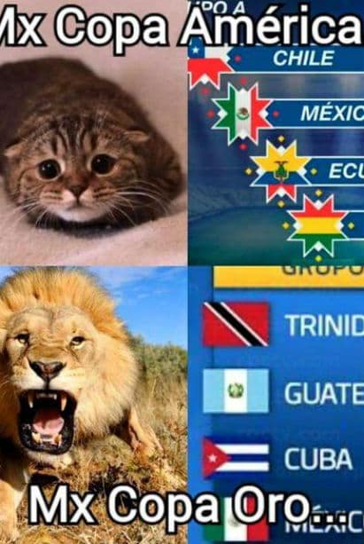 Te traemos los memes más divertidos del tercer día de la Copa Oro en donde Guatemala fué humillado por Trinidad y Tobago y México contra Cuba.