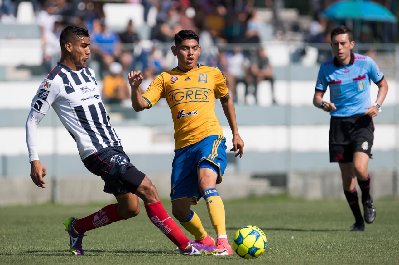 Estuvo jugando con el Villarreal C.F. B, pero luego regresó al país para jugar en las Fuerzas Básicas de los Tigres. Allí debutó, pero ahora está coán el Atlético San Luis en el Ascenso MX.