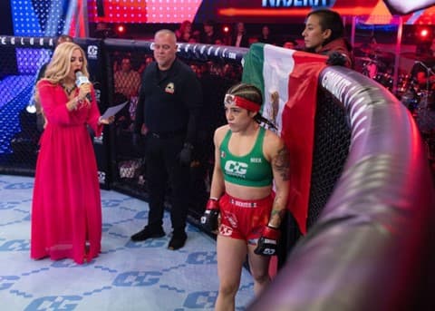 Combate Global ahora se verá en ViX, además de Univisión