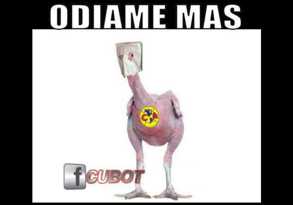 Los memes de la Jornada 11 Apertura 2015