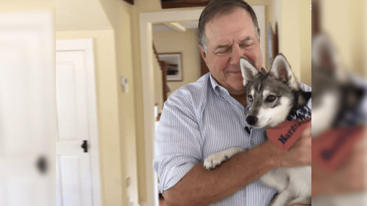 Lo cierto, es que no se le aprecia seguido con este semblante al coack de New England, así que graben bien en esta foto en su cabeza.
