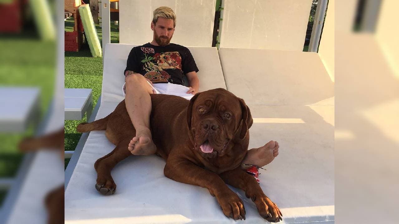 El futbolista del momento es amante de los perros.