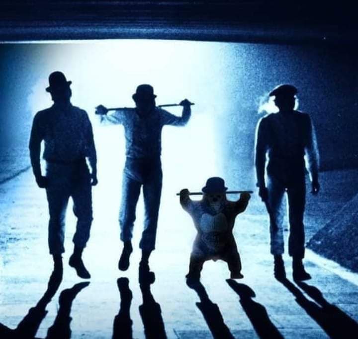 El pequeño gran luchador del CMLL se ha vuelto famoso en redes sociales.