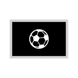Grupo D Ganador