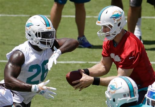 Las mejores tomas de las actividades organizadas de los Miami Dolphins rumbo a la temporada 2015 (AP-NFL).