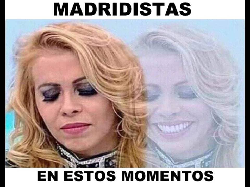 Los memes haciendo leña de los árboles caídos.