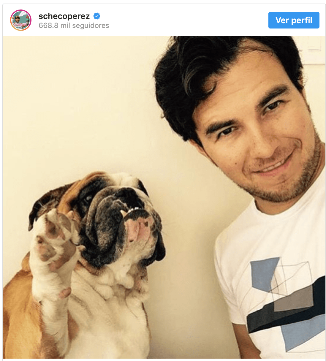 'Checo' Pérez | Automovilista