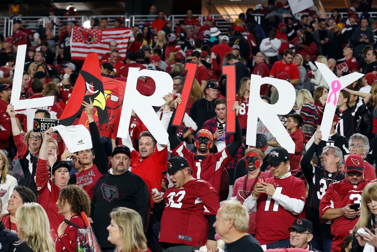 La locura incendió a todos los fans de la NFL durante la Ronda Divisional. Checa las mejores tomas.