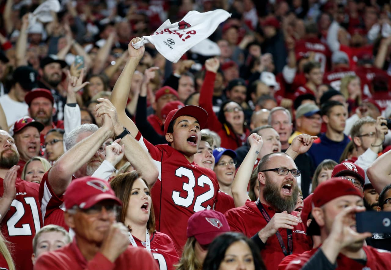La locura incendió a todos los fans de la NFL durante la Ronda Divisional. Checa las mejores tomas.