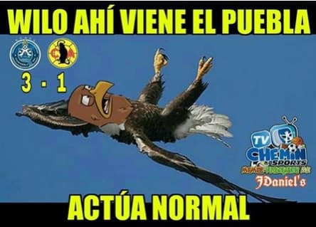 Memes Jornada 16 Clausura 2018