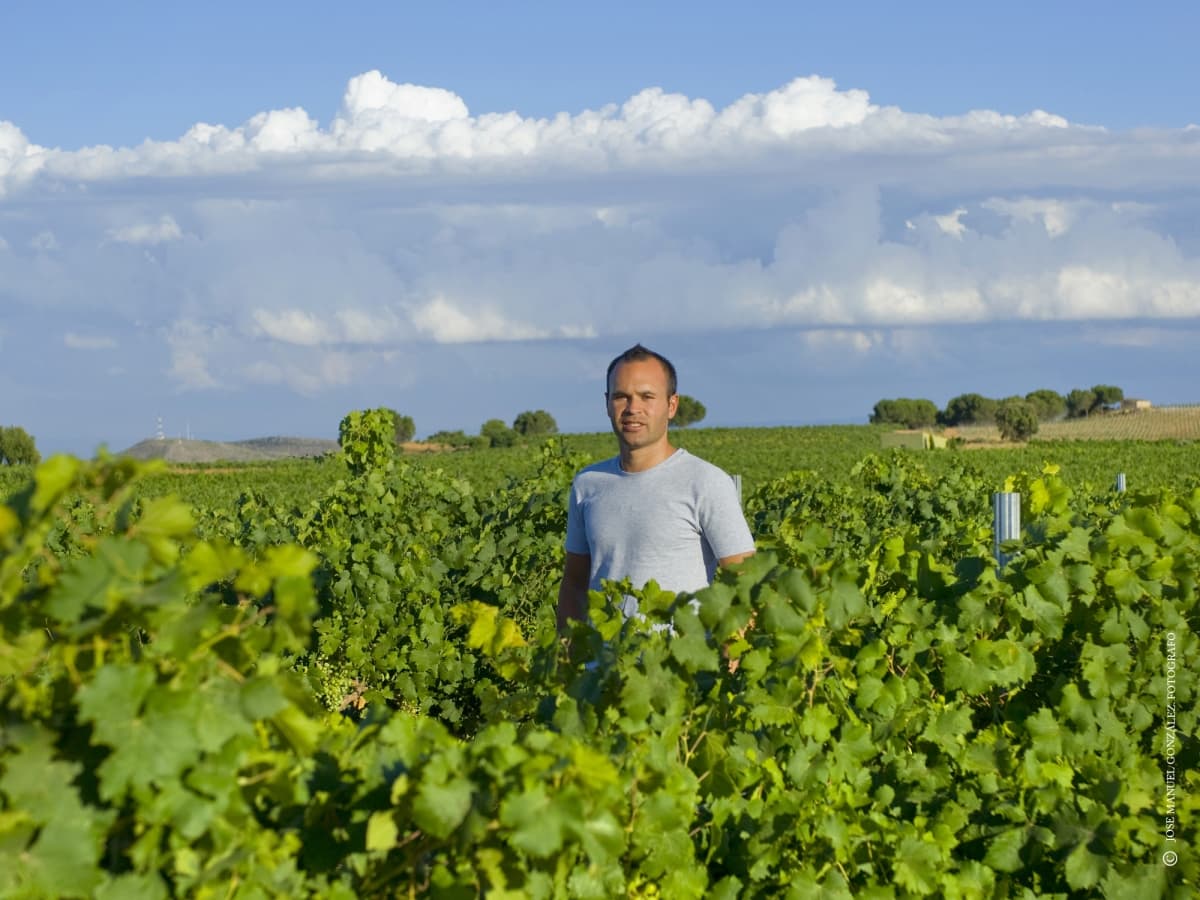 Cuando llegó el nuevo siglo, decidieron poner en marcha un plan que le permitiera a la empresa tener su propia bodega.