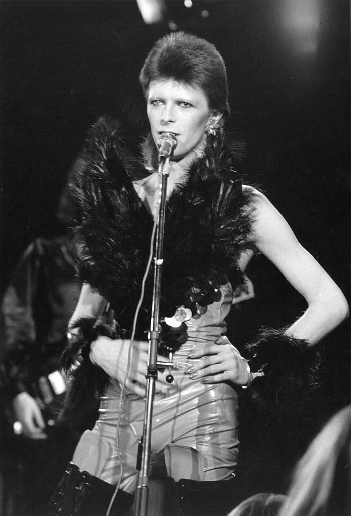 Bowie también fue actor y asumió papeles en películas como Labyrinth (1986) y The Prestige (2006).