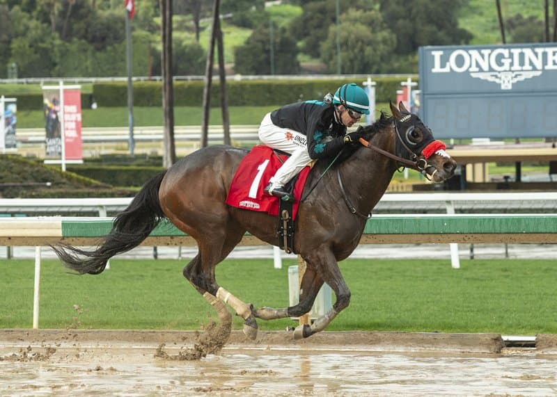 Ya van 20: Muere otro caballo en pista de Santa Anita
