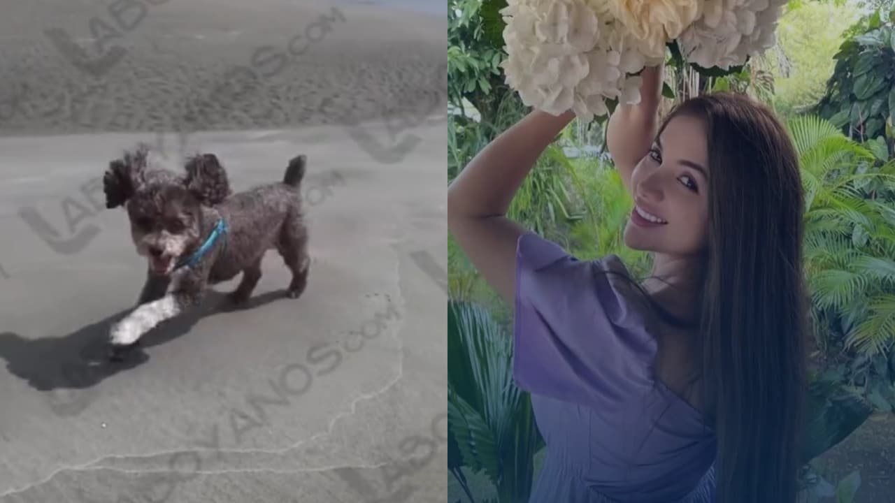 Joven fallece pero salva a su perrito en terremoto de Colombia