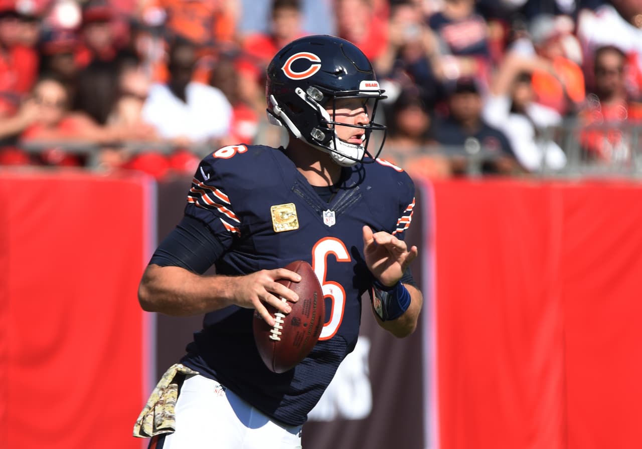 Bajas: Perdieron al quarterback veterano Jay Cutler, quien se iba a retirar para ser comentarista pero fue llamado de emergencia por los Miami Dolphins). Igualmente vieron partir al talentoso WR Alshon Jeffery (Eagles) y al QB reserva Matt Barkley (49ers).