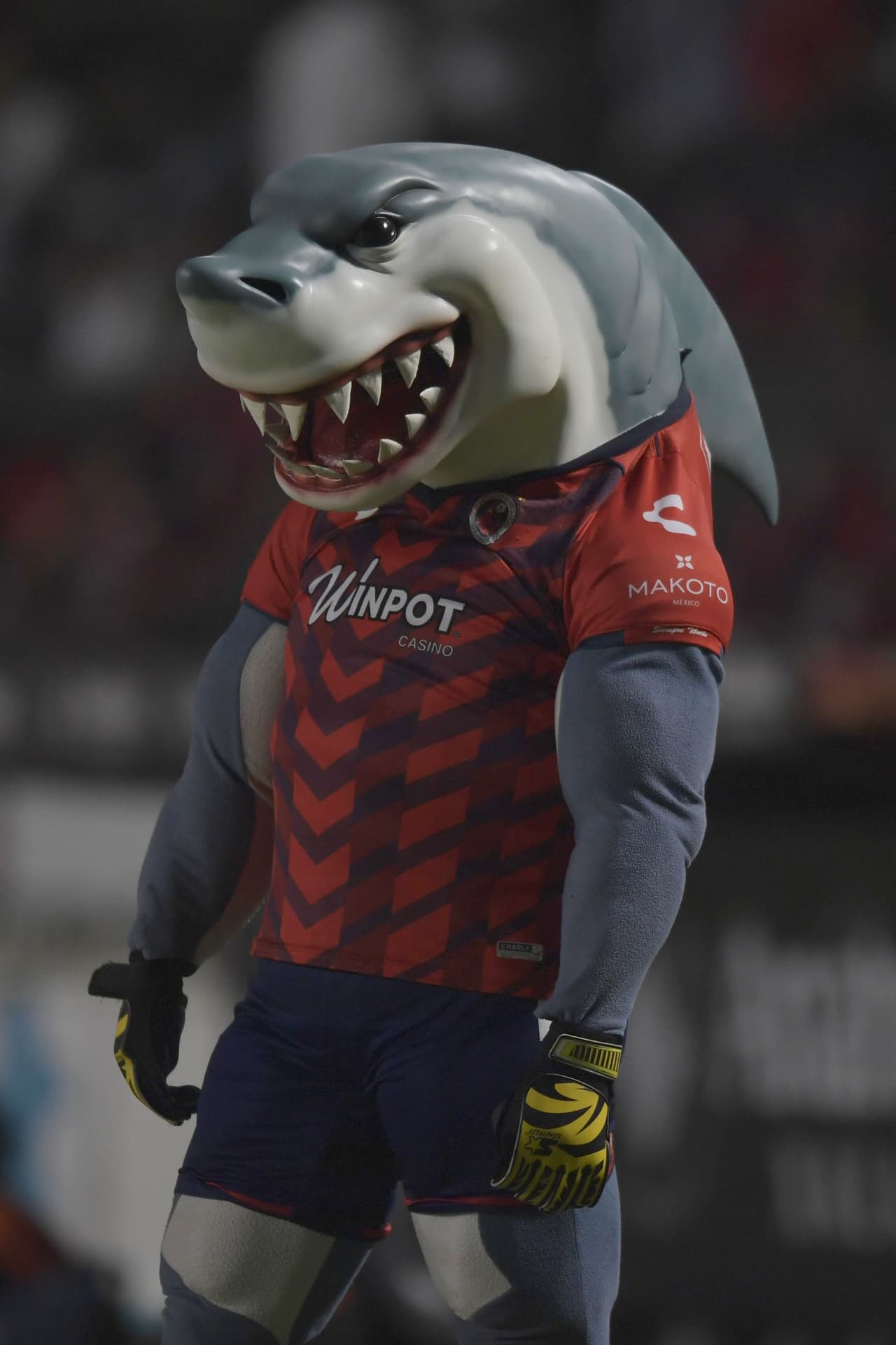 ¿Podrán romper su mala racha los Tiburones ante Cruz Azul?