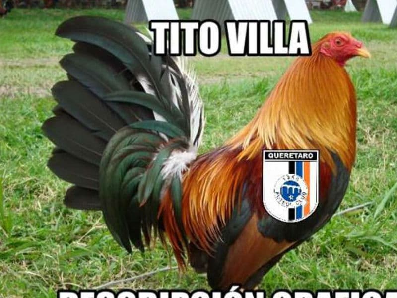 La derrota de América en casa ante los Gallos de Querétaro no pasó desapercibida en la redes sociales y los memes no se hicieron esperar