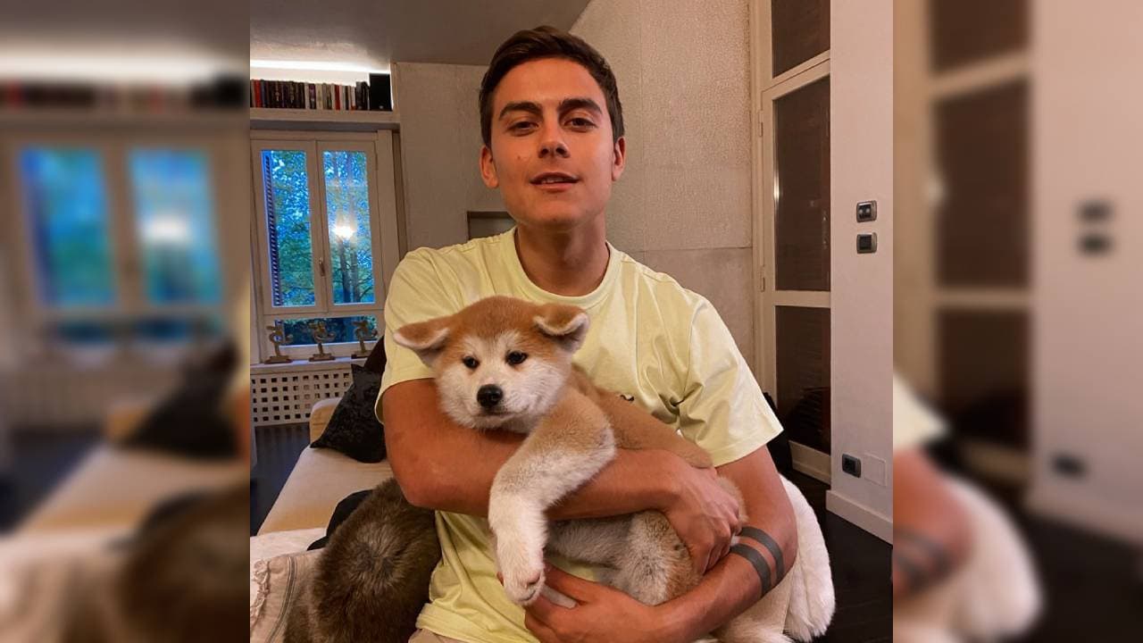 No se olvida de su nueva mascota, con quien también pasa tiempo.