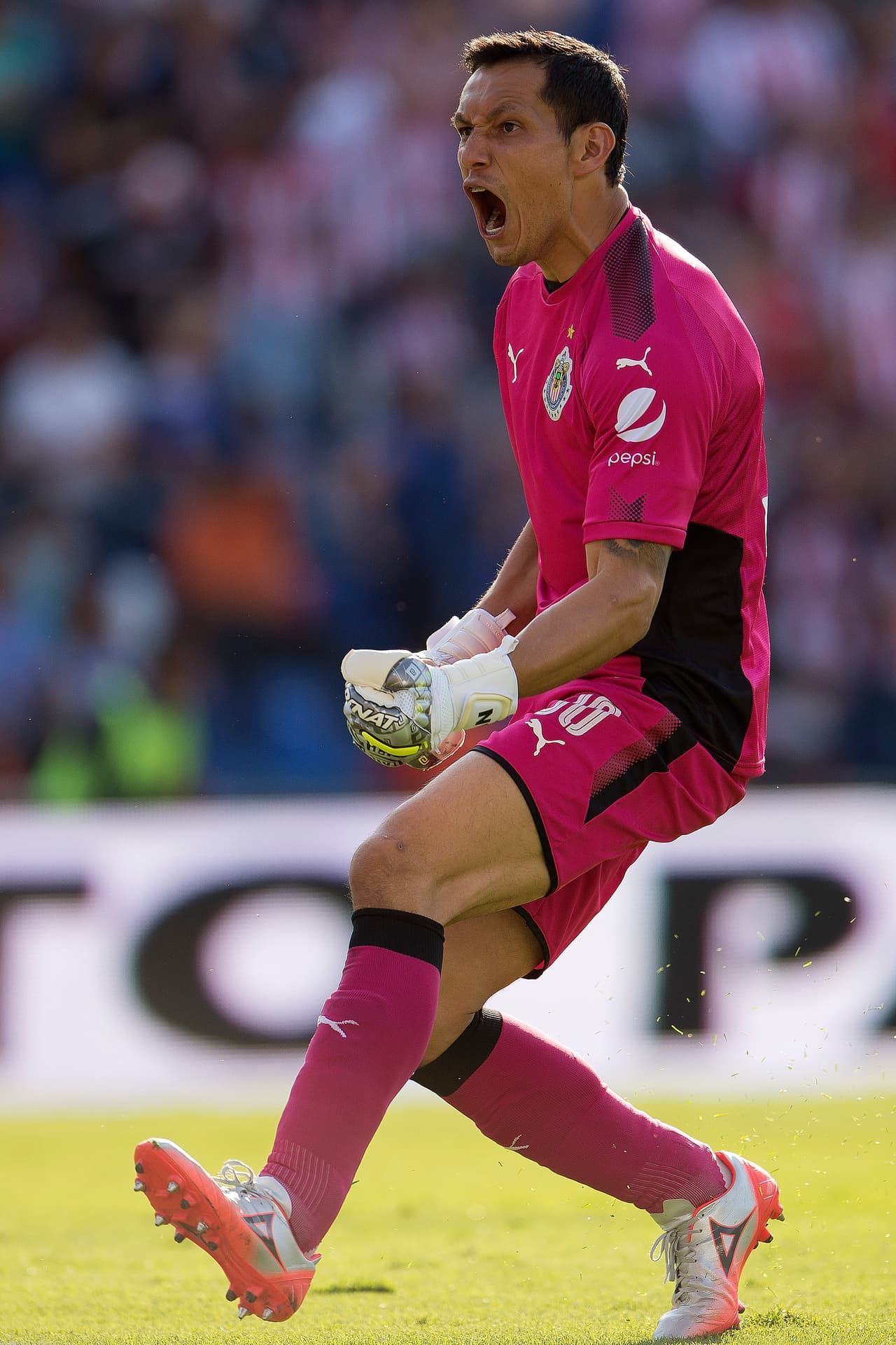 Si Corona celebró el tanto del Cruz Azul, Rodolfo Cota no se quedó atrás, festejando en grande el gol del Guadalajara.