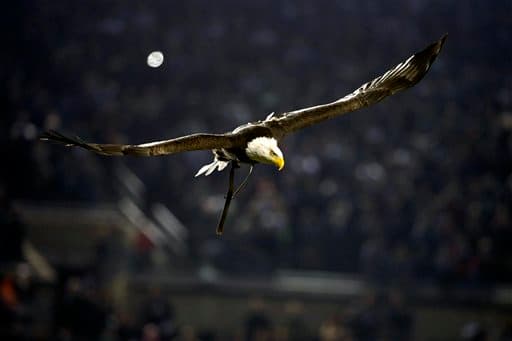 Los Eagles consiguieron quitarle las aspiraciones a los Giants de ponerse en la cima de la Este NFC al igualar su marca de 3-3 con marcador, en Lunes por la Noche, de 27-7; y estas fueron las tomas de la noche.