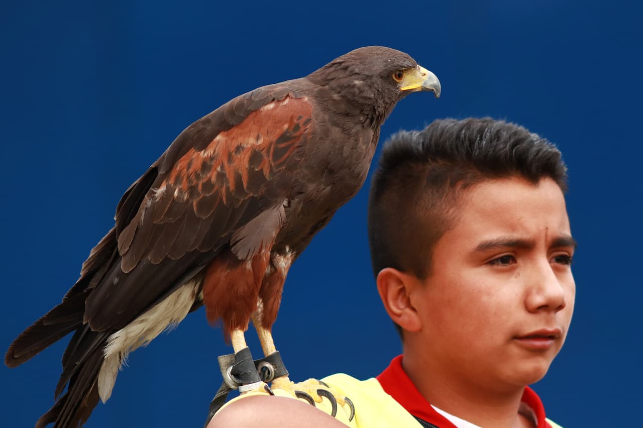 A pesar de la diferencia en la serie de Cuartos de Final, los fanáticos de Cruz Azul y América se alistan por el milagro o la confirmación de avanzar en la Liguilla del Clausura 2019.