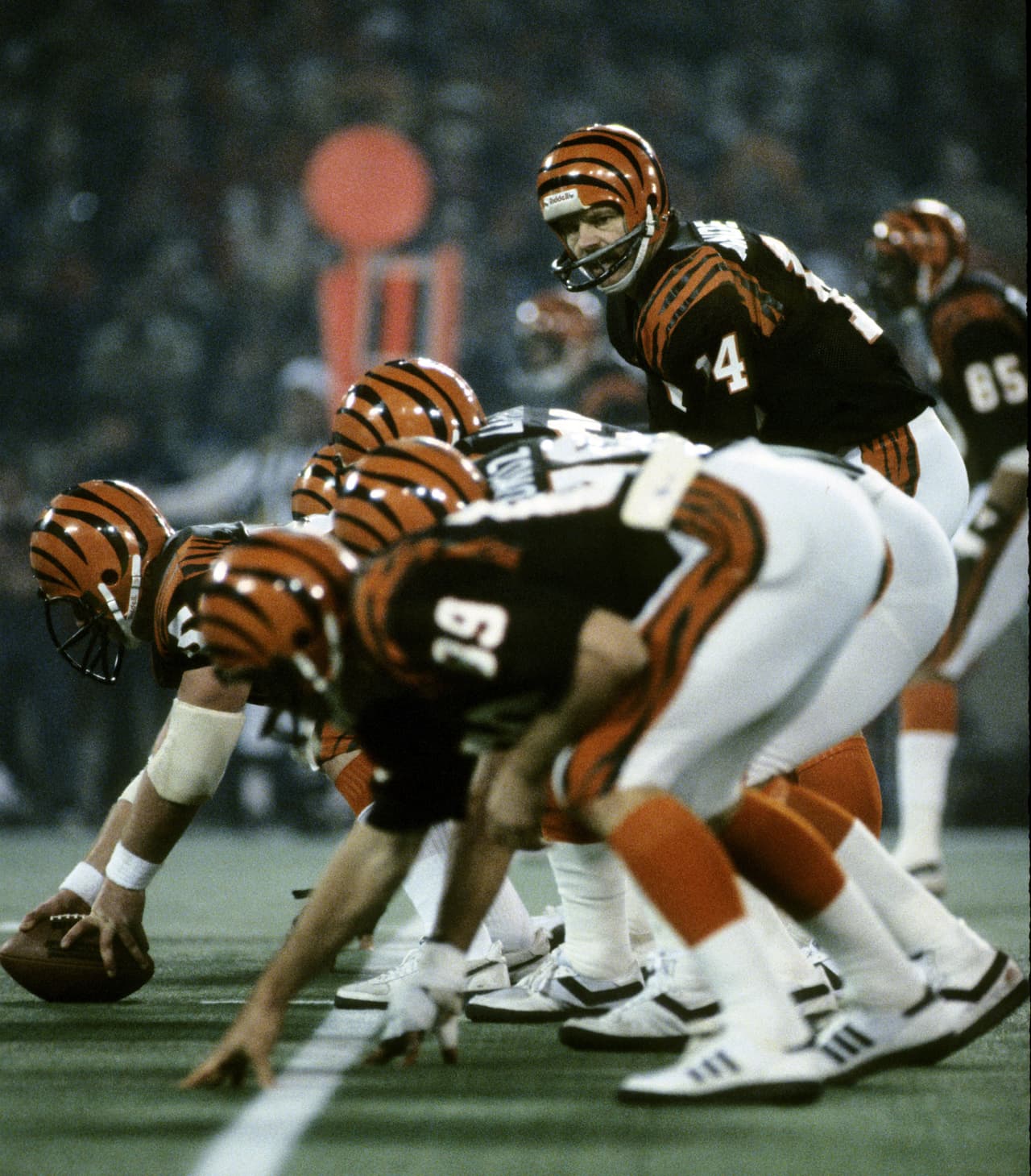 La ofensiva de los Cincinnati Bengals edición 1981 fue la mejor que este equipo había tenido en su historia. Ken Anderson ganó el título de MVP, Ofensivo del Año, All Pro y estaba en el Super Bowl. Sin embargo, era la época destinada para los 49ers.