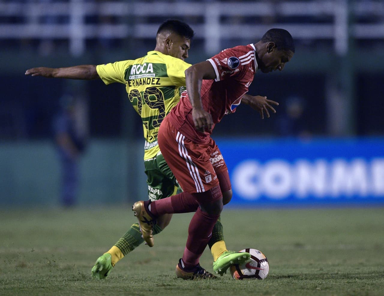El 2018 del América de Cali no es el mejor. No clasificó a la fase final del torneo local y en la Sudamericana salió en primera ronda. Sin embargo, 
<b>Juan Camilo Angulo </b>fue uno de sus mejores jugadores. Mucha entrega, fútbol ofensivo, remate preciso y potene.