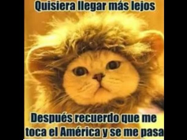 América pasó 2-1 sobre León en el Estadio Azteca y la guerra de memes no se hizo esperar en las redes sociales.