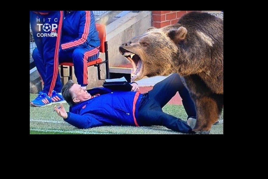 Los memes sobre la caída de Van Gaal no podían faltar y aquí tienes los mejores sobre su caída