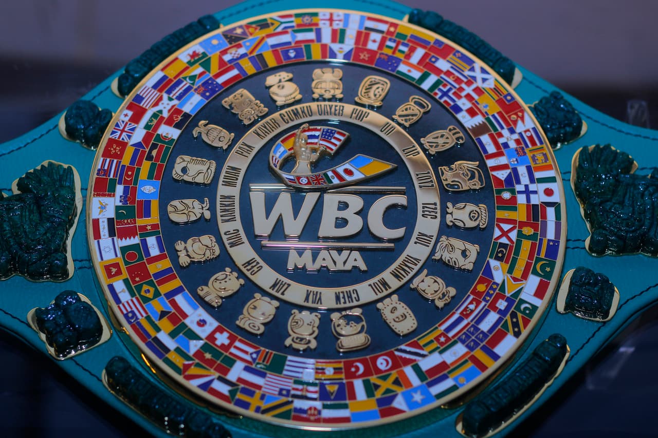 El dirigente dijo que Jacobs tiene una motivación especial "haber vencido al cáncer y haber sido capaz de llegar nuevamente a ser campeón del mundo. Es un gran peleador, pega fuerte y está en su división", aseveró.
<br>