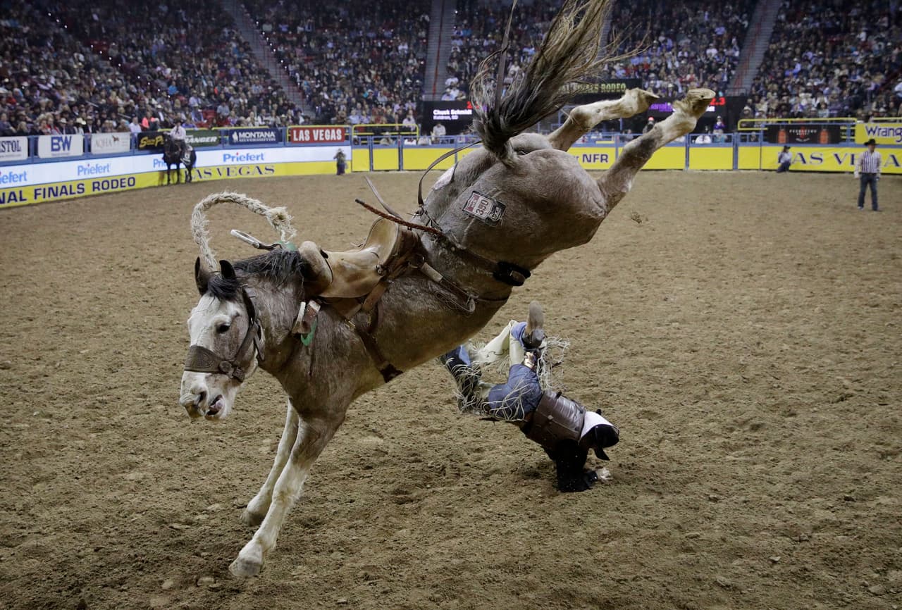Otro de los eventos en el rodeo es también aguantar el mayor tiempo posible, pero sobre un caballo que se encarga de hacer practicamente imposible sostenerse sobre él.