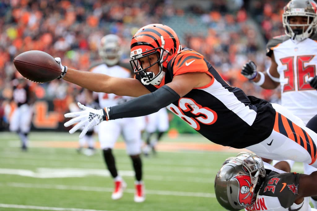 <b>16) Cincinnati Bengals (5-3)</b>. Estuvieron a punto de perder del mismo modo en el que lo hicieron una semana atrás ante Pittsburgh, pero con los Bucs. ¿Habrán aprendido de sus pasados errores?