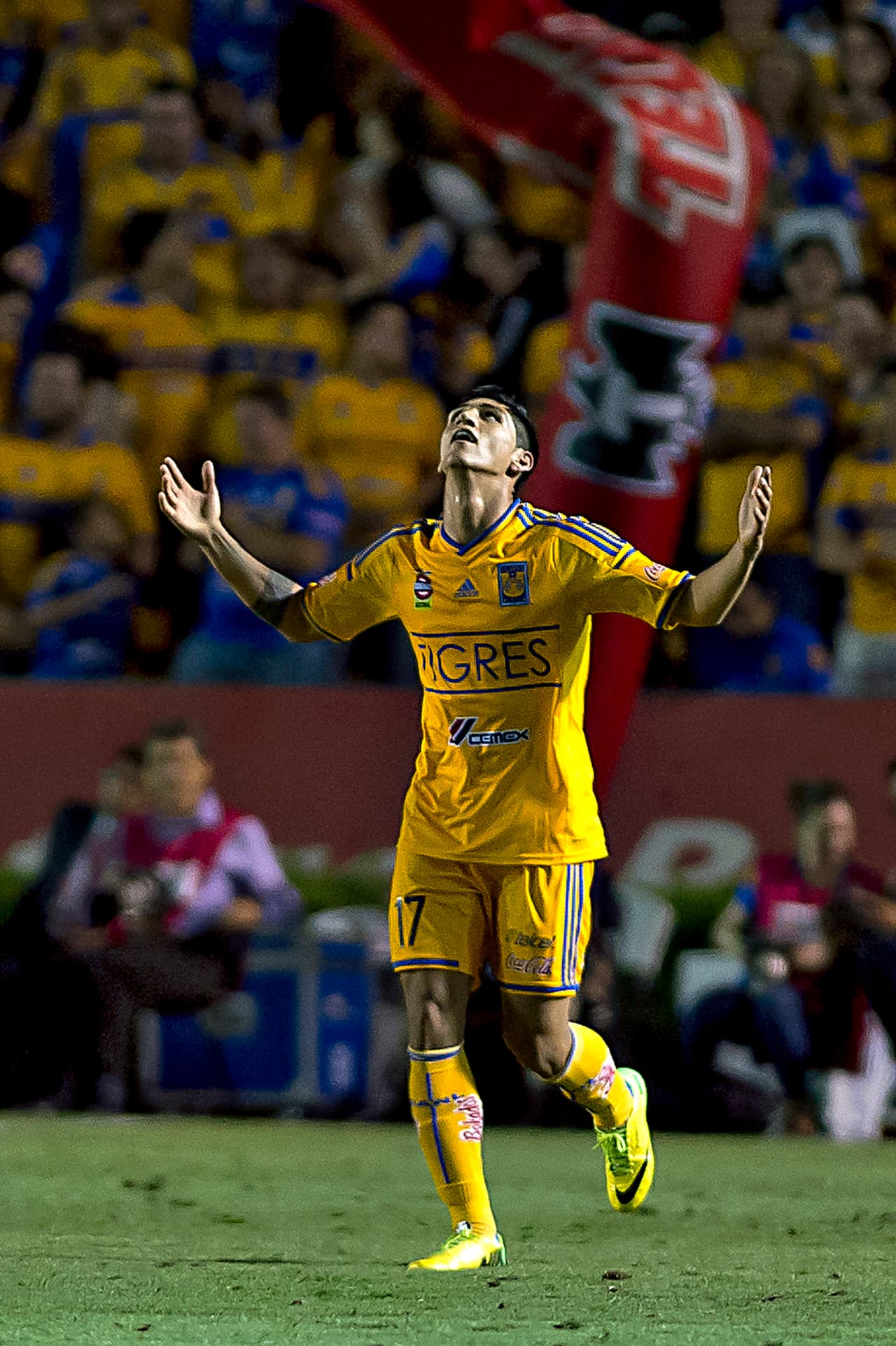 Alan Pulido celebró título de Tigres