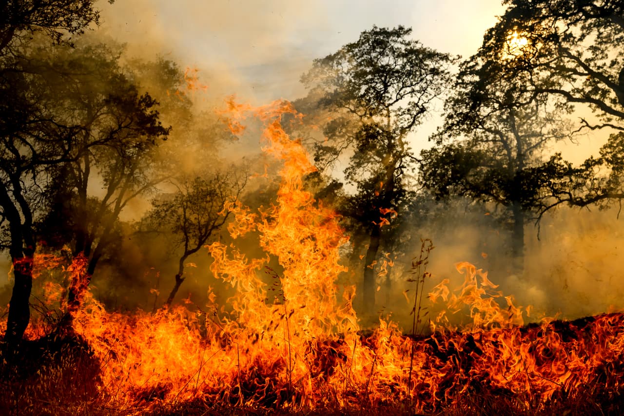 Los científicos afirman que el cambio climático creó las condiciones para los incendios en Canadá, pero Donald Trump culpa a la mala gestión