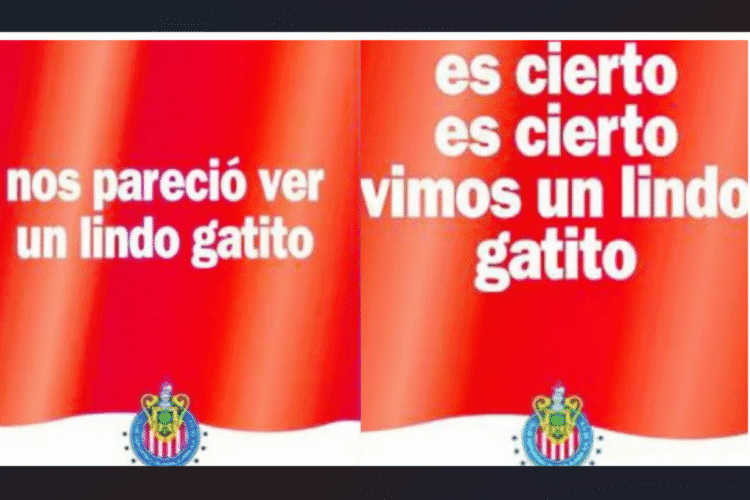 Este fue el despegable dedidaco a Pumas.