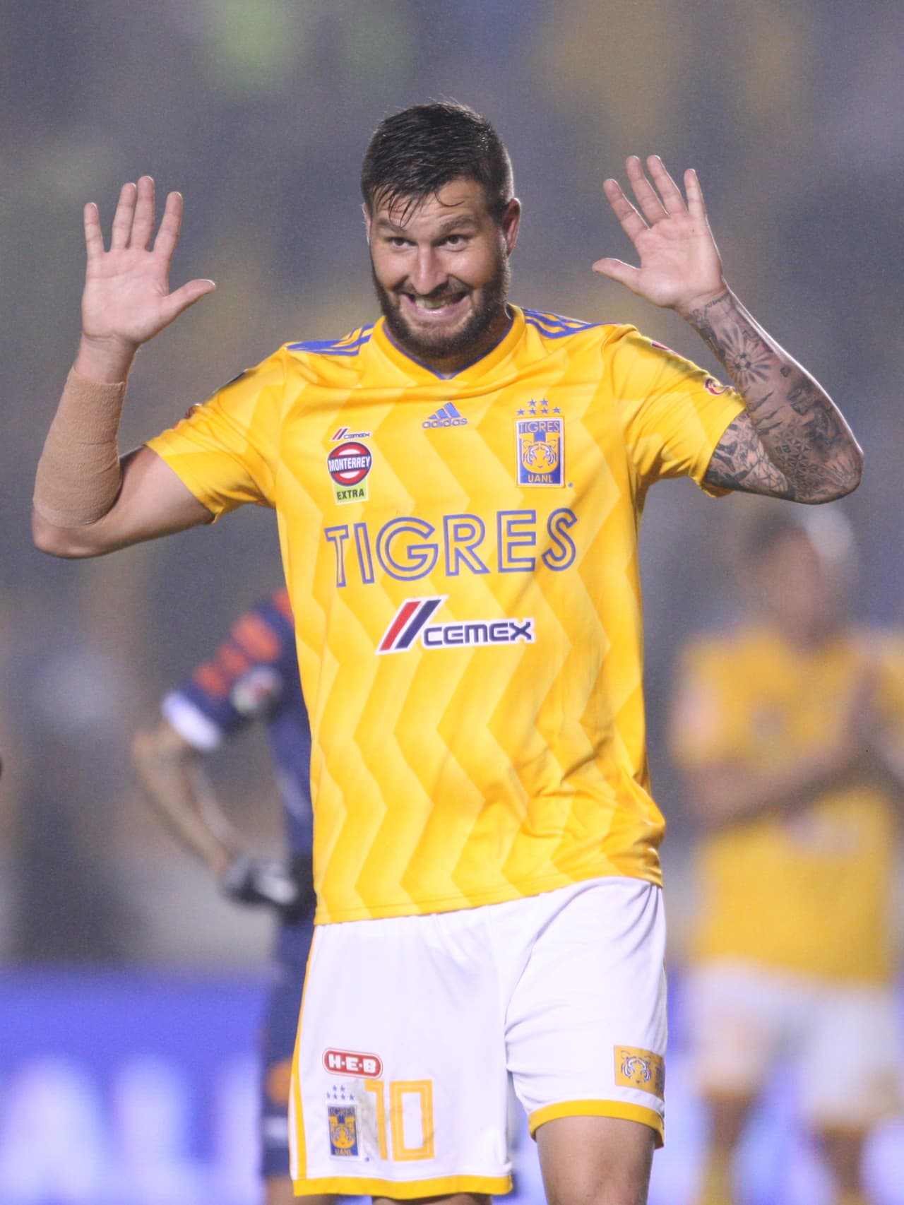 <b>Delantero:</b> André-Pierre Gignac (Tigres, 111)