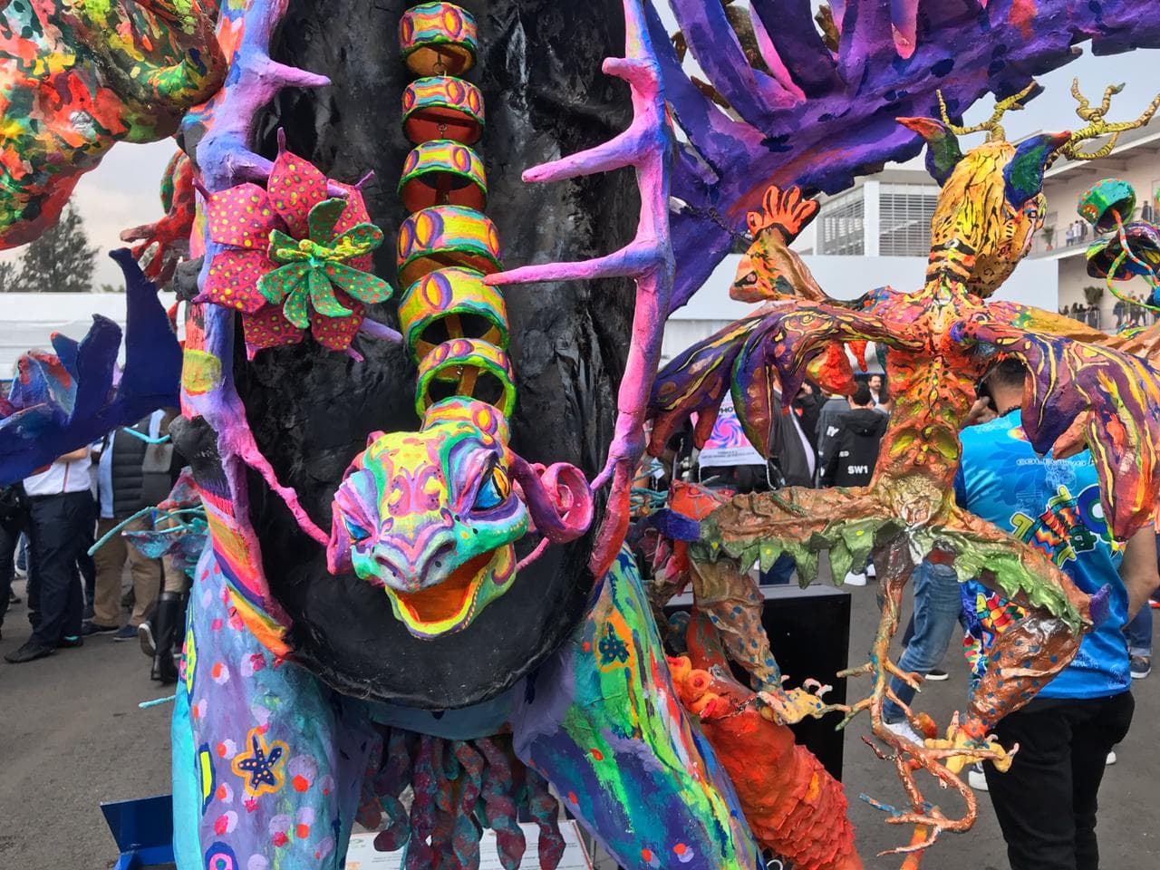 Color de las clasificatorias del GP de México.