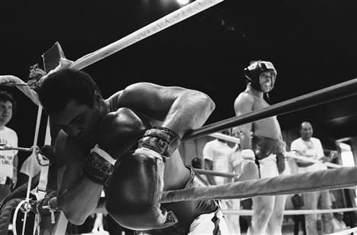 Hace 40 años, 1 de octubre de 1975, se celebró una de las peleas más grandes en la historia del boxeo. Muhammad Ali y Joe Frazier se enfrentaron por tercera vez. El combate lo ganó Ali en el round 14, Eddie Fuch, entrenador de Frazier, no dejó salir a su pupilo para el episodio 15 ante el asombro de Muhammad y todos. Ali dijo al final de la batalla: “Fue lo más cercano que he estado jamás de morir”.