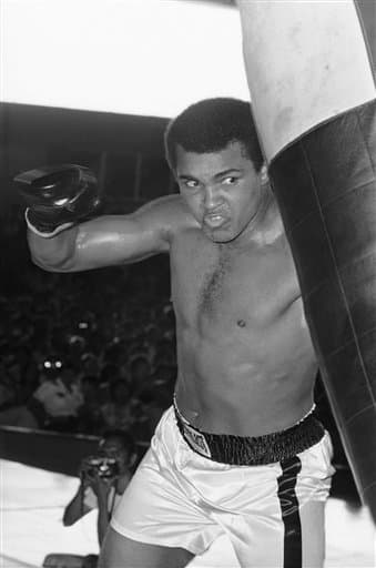 Hace 40 años, 1 de octubre de 1975, se celebró una de las peleas más grandes en la historia del boxeo. Muhammad Ali y Joe Frazier se enfrentaron por tercera vez. El combate lo ganó Ali en el round 14, Eddie Fuch, entrenador de Frazier, no dejó salir a su pupilo para el episodio 15 ante el asombro de Muhammad y todos. Ali dijo al final de la batalla: “Fue lo más cercano que he estado jamás de morir”.