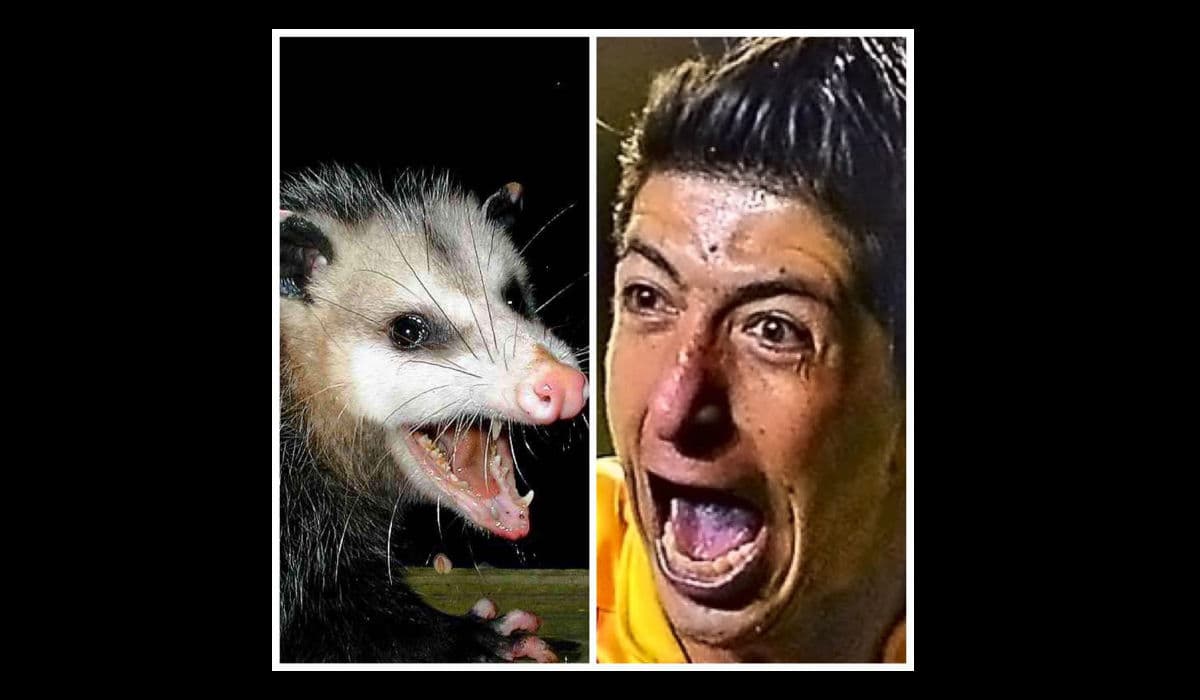 Memes semifinales vuelta del Apertura 2015